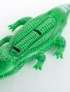 Crocodile, green