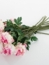 Peónias, ramo rosa-branco